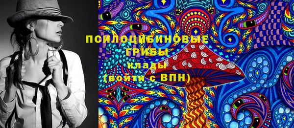 МДПВ Алзамай