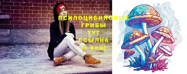 МДПВ Алзамай