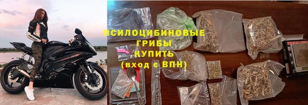 spice Алексин